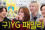 Sandara Park gets honest about dating inside YG and makes everyone laugh as Daesung jokingly calls SM “paradise”