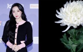 Lee Young Ji Steps Up with a Heartfelt Donation for Jeju Air Tragedy Victims: "My Small Support for Their Immense Sorrow"