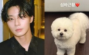 Park Seo Joon Shuts Down ‘Attack on Kim Soo Hyun’ Rumors With Cute Update about His Pet Instead