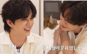 Yoo Seung Ho wins praise for giving all his appearance earnings to cats in need