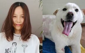 Lee Hyori makes emotional request as she asks fans to help adopt rescued dog and says “please be brave and try”