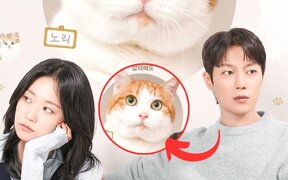 Yoon Doo Joon pushes through severe cat allergy for new drama ‘Cat Custody War’ — even filmed while taking medicine