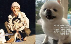 Super Junior’s Yesung mourns the loss of his dog Melo in a touching message that moved fans to tears