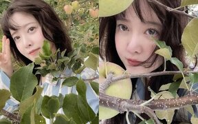 Goo Hye Sun captures attention with her pajama look at her parents’ orchard — fans gush over her natural beauty