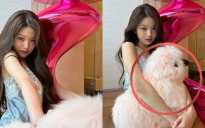 IVE's Jang Wonyoung’s luxury daily life gains attention again after fans spot the price of her pink sheep object