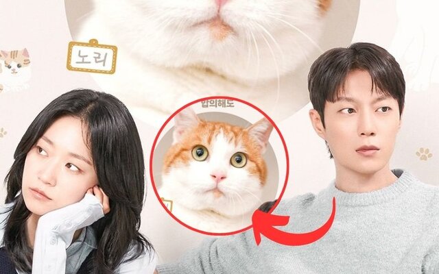 Yoon Doo Joon pushes through severe cat allergy for new drama ‘Cat Custody War’ — even filmed while taking medicine