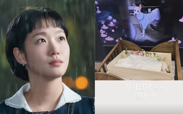 Kim Go Eun says goodbye to her beloved dog Woli after 4 years together and leaves fans heartbroken with a final message