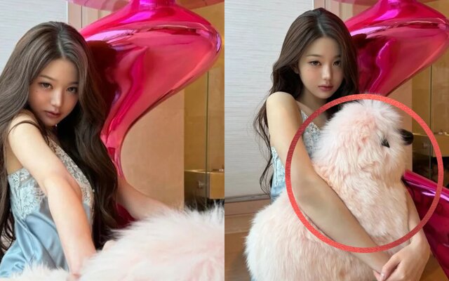 IVE's Jang Wonyoung’s luxury daily life gains attention again after fans spot the price of her pink sheep object