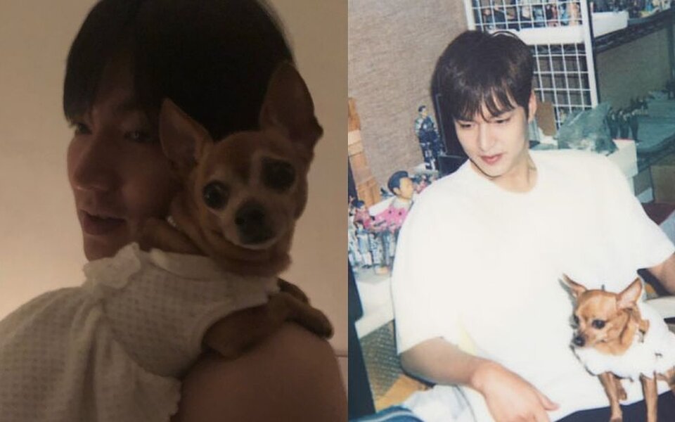 Image for Lee Min Ho shares emotional farewell after losing his dog of 16 years and fans are heartbroken over his touching tribute