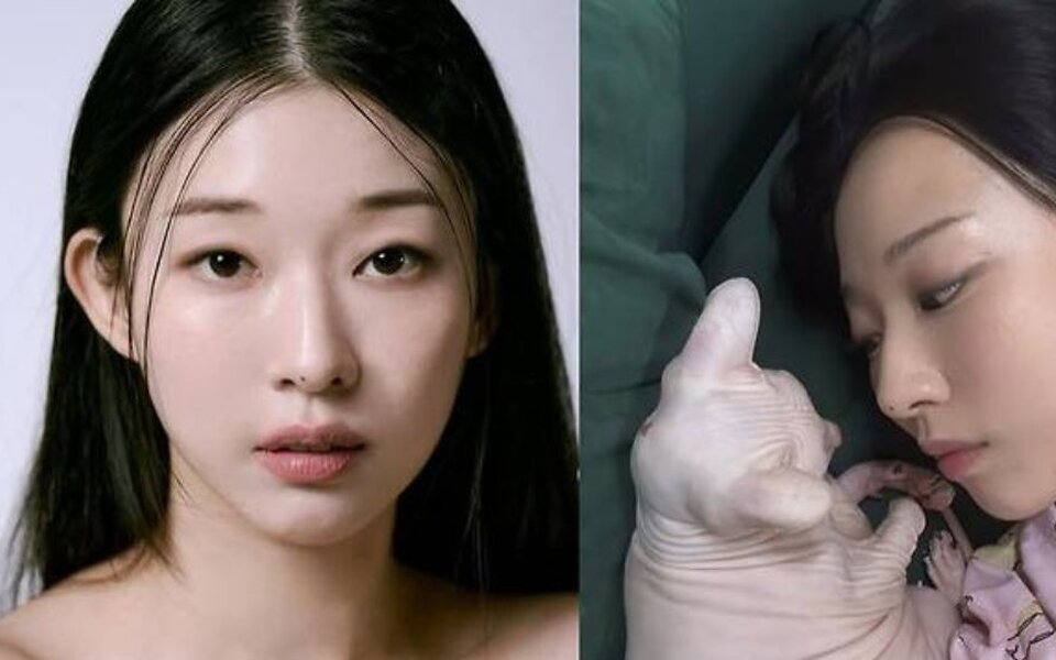 Image for Kim Sun Ah shares touching update on late Sulli’s beloved cat Blin and fans are moved by her unchanged love