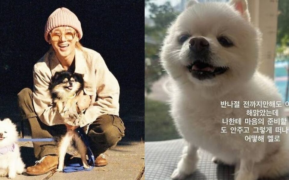 Image for Super Junior’s Yesung mourns the loss of his dog Melo in a touching message that moved fans to tears