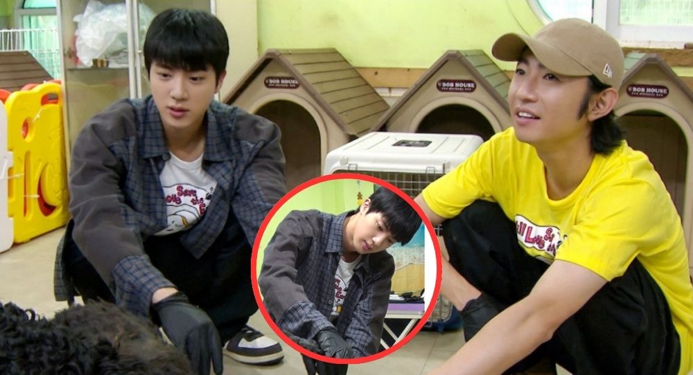 BTS's Jin and Arashi's Aiba Team Up on 'Everyone's Zoo,' Fans Can't Get Enough