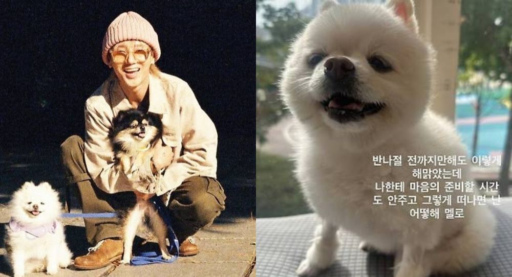Super Junior’s Yesung mourns the loss of his dog Melo in a touching message that moved fans to tears
